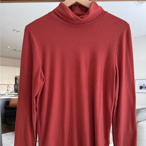 Madewell Women’s Turtleneck Sweater in Rust
